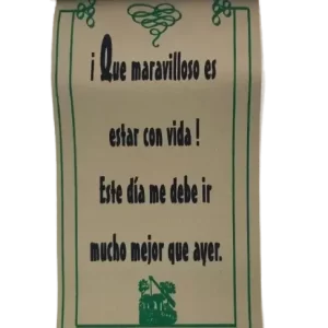 Que maravavilloso es estar con vida